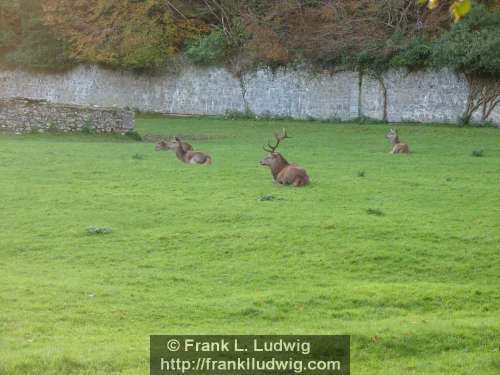 Coole Park, County Galway